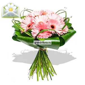 Магдалена Магдалена